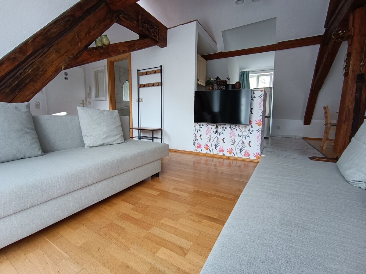 Stylish Attic Apartment at Schlosspark