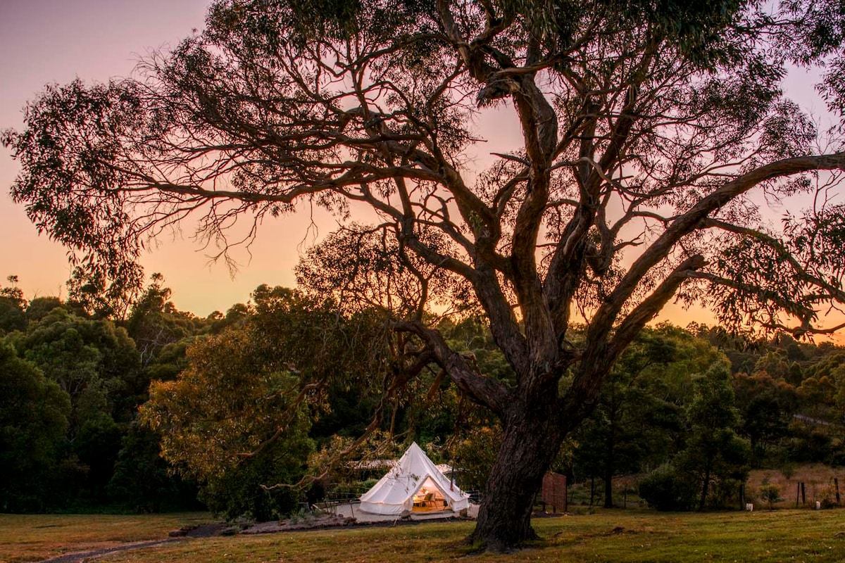 Big Sky Glamping