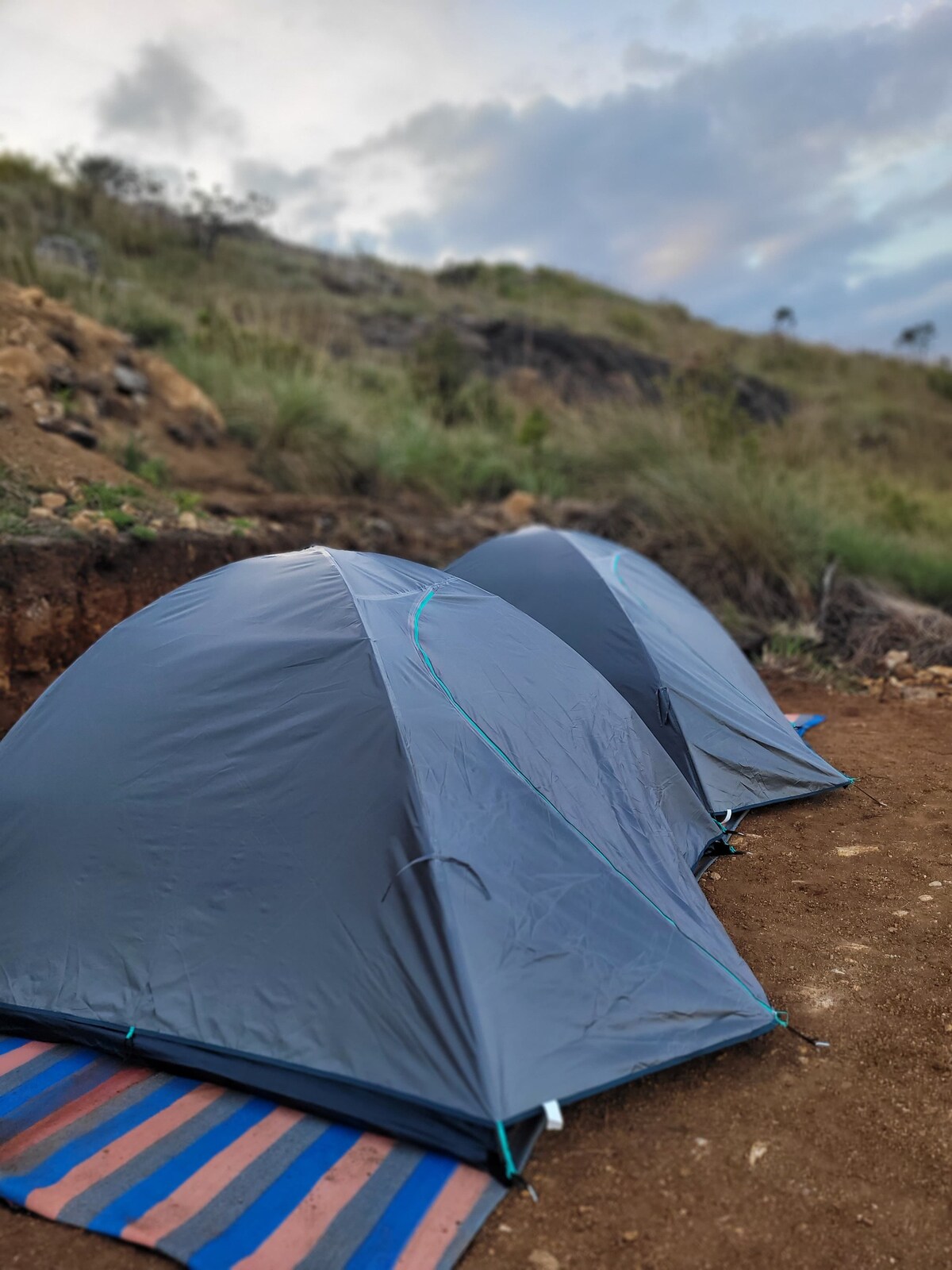 Misty hides tent  camping kattappana