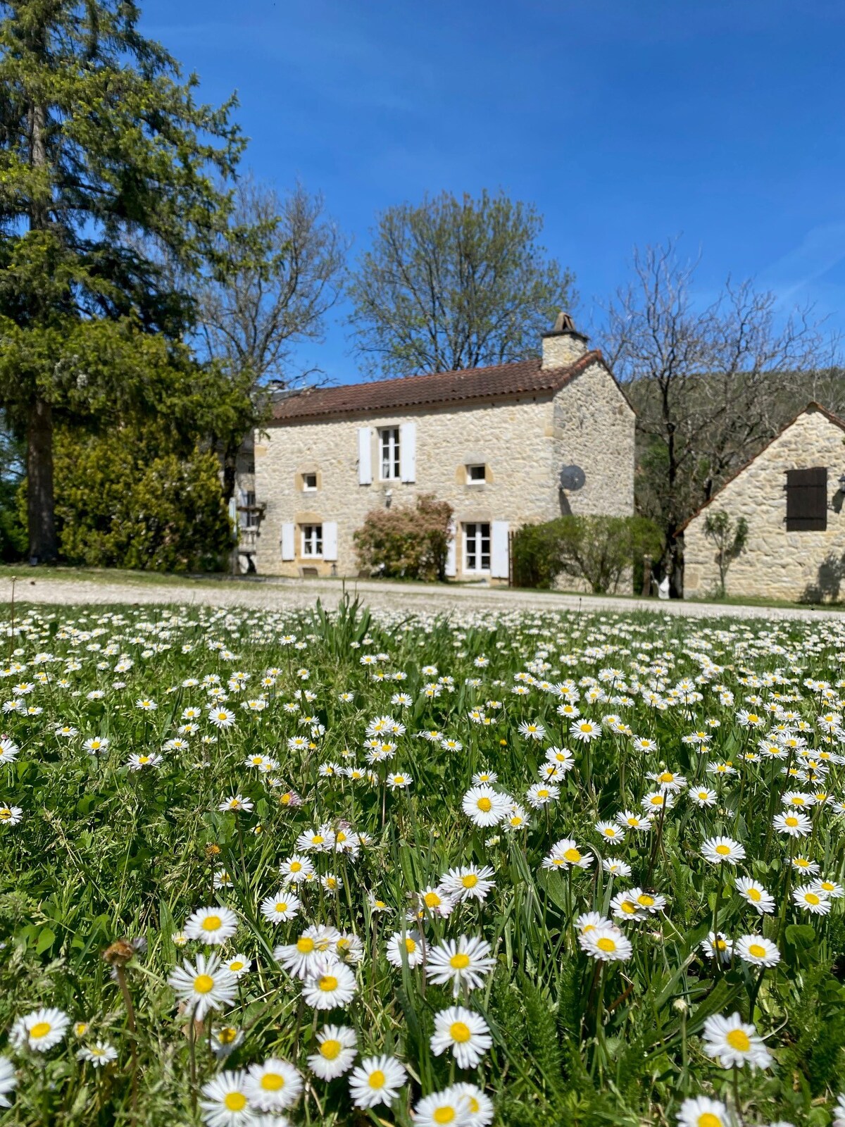 La Chouette 
Domaine la Cabane