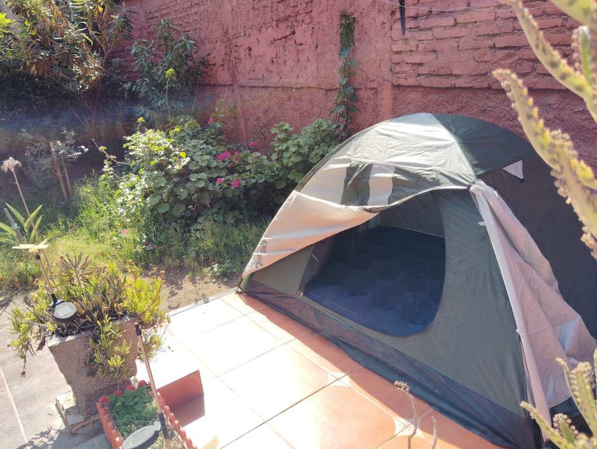 室内花园旅行者帐篷
