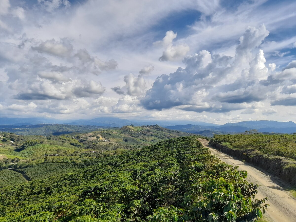 Finca Los Alamos