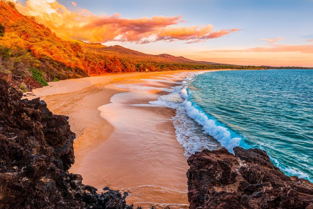 Tropical Splendor in Maui!