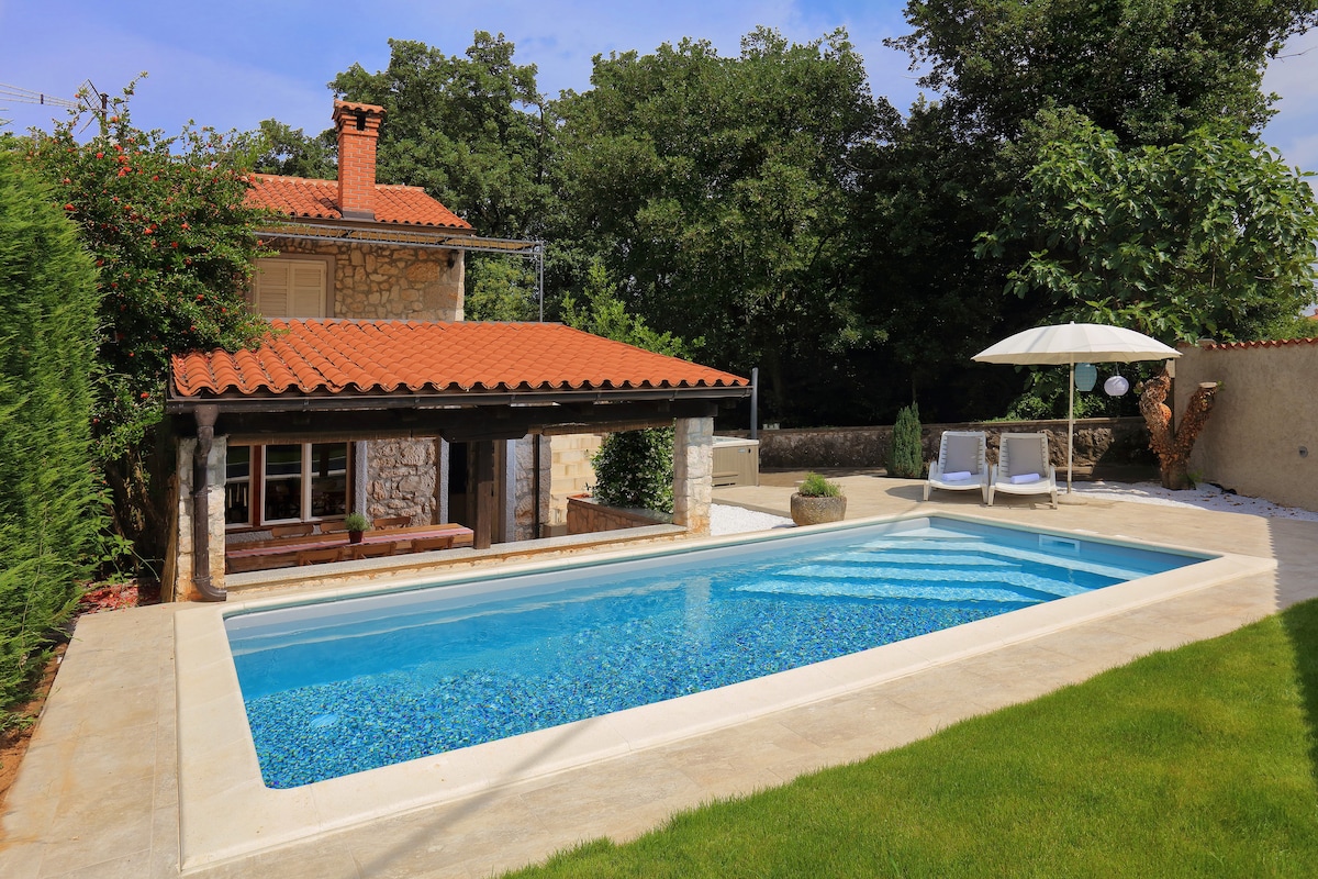 Holiday house  Natura with pool and jacuzzi
