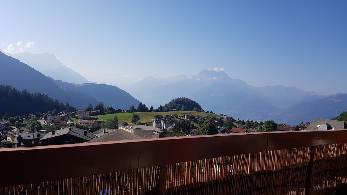 俯瞰阿尔卑斯山的美丽单间公寓