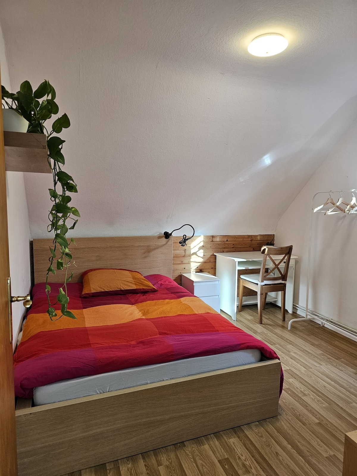 Cozy Room and Warm Hospitality!