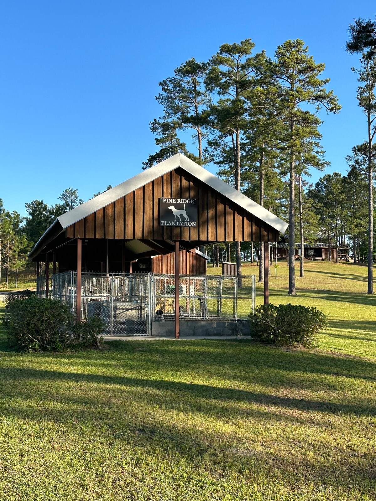 松岭种植园(Pine Ridge Plantation)