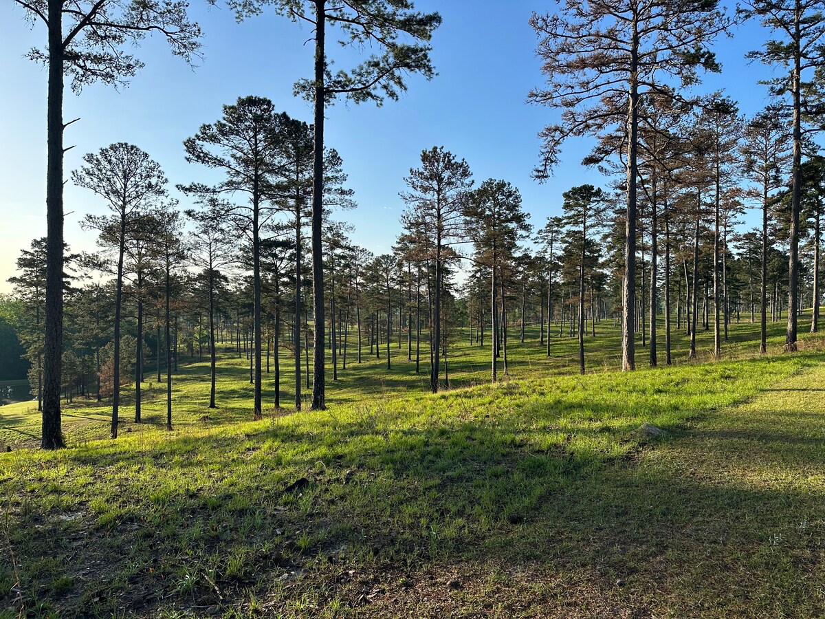 松岭种植园(Pine Ridge Plantation)