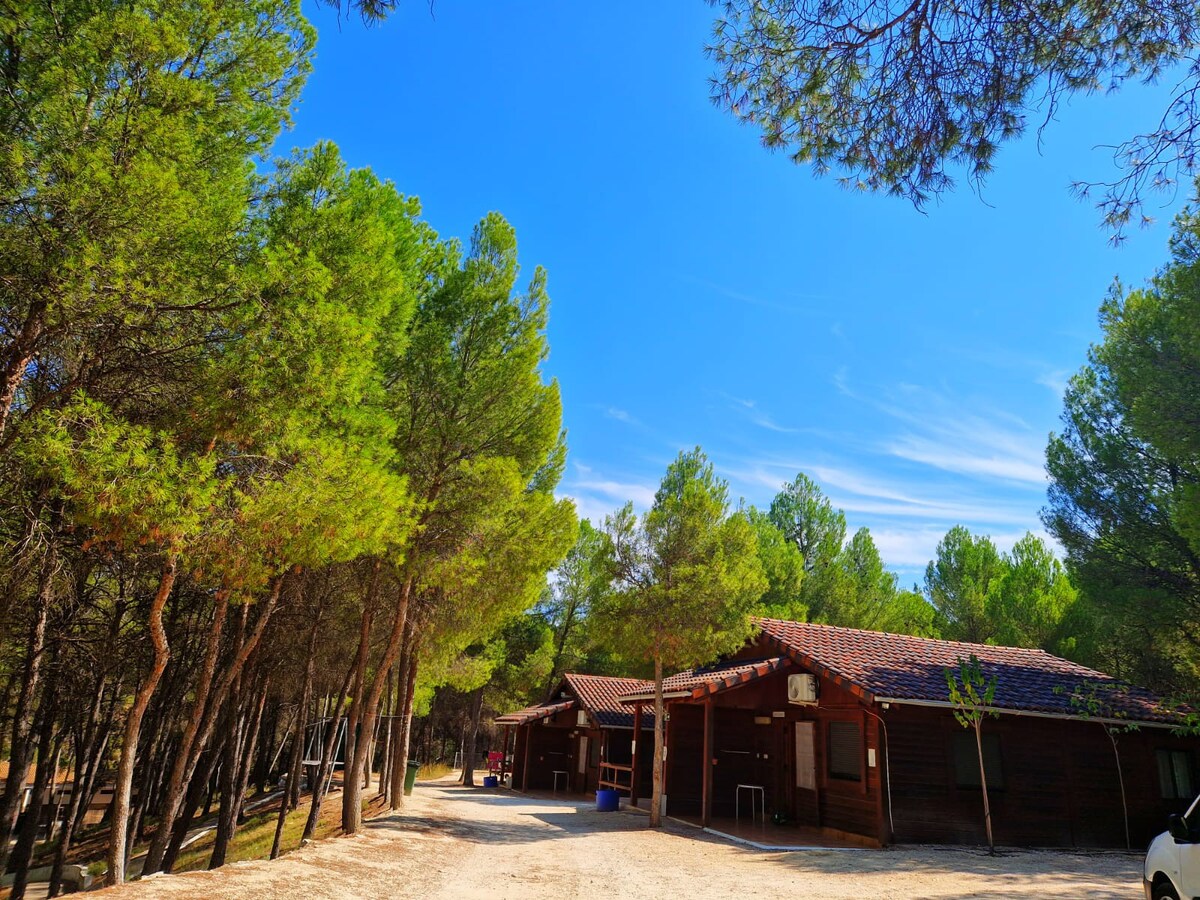 cabaña de madera