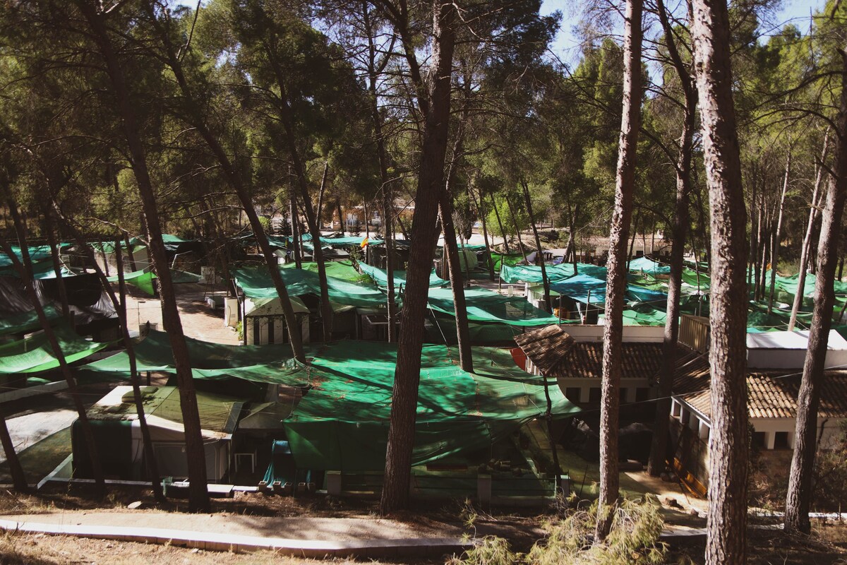 Camping los viveros