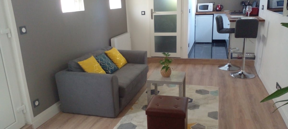 Charmant Studio indépendant  25 m² 
(CDG, Astérix)