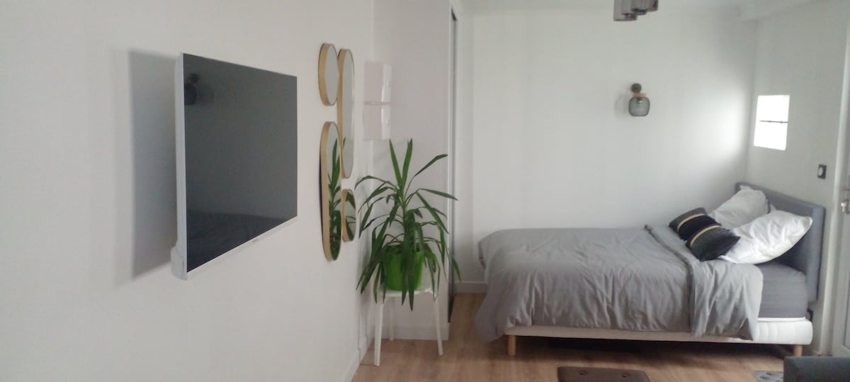 Charmant Studio indépendant  25 m² 
(CDG, Astérix)