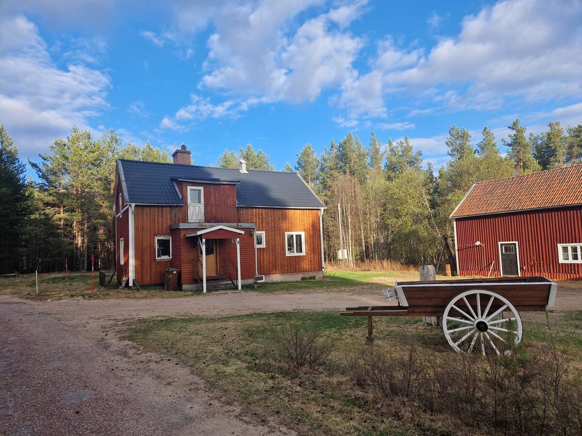 Ferienhaus am Waldrand