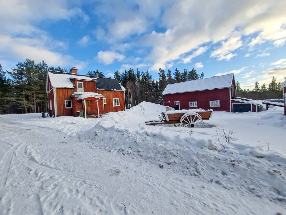 Ferienhaus am Waldrand