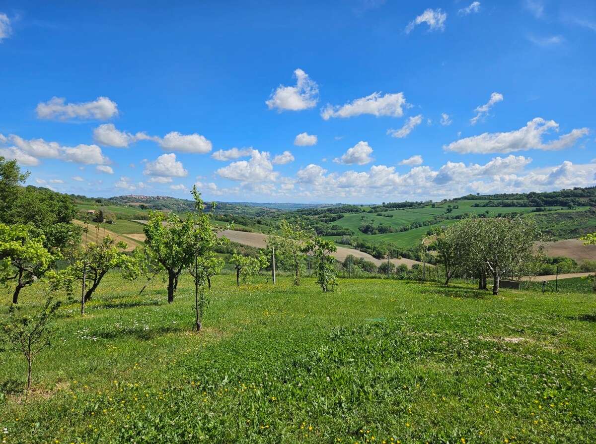 La Coccinella, camera e giardino