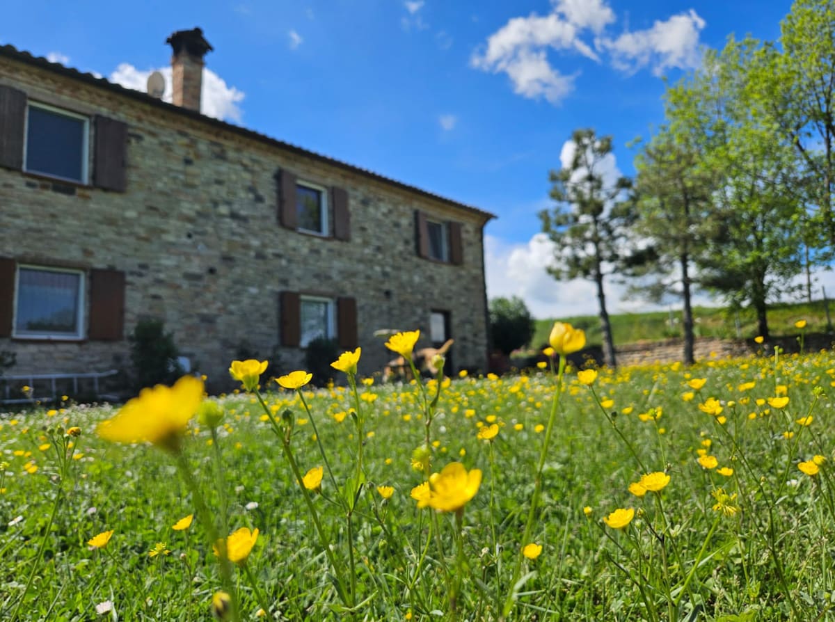 La Coccinella, camera e giardino