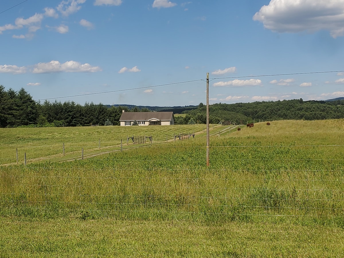 Mcinnis Farms-Grassfed Beef Farm