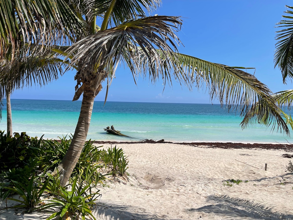 Oceanfront Nature Retreat W/ Chef on Private Beach