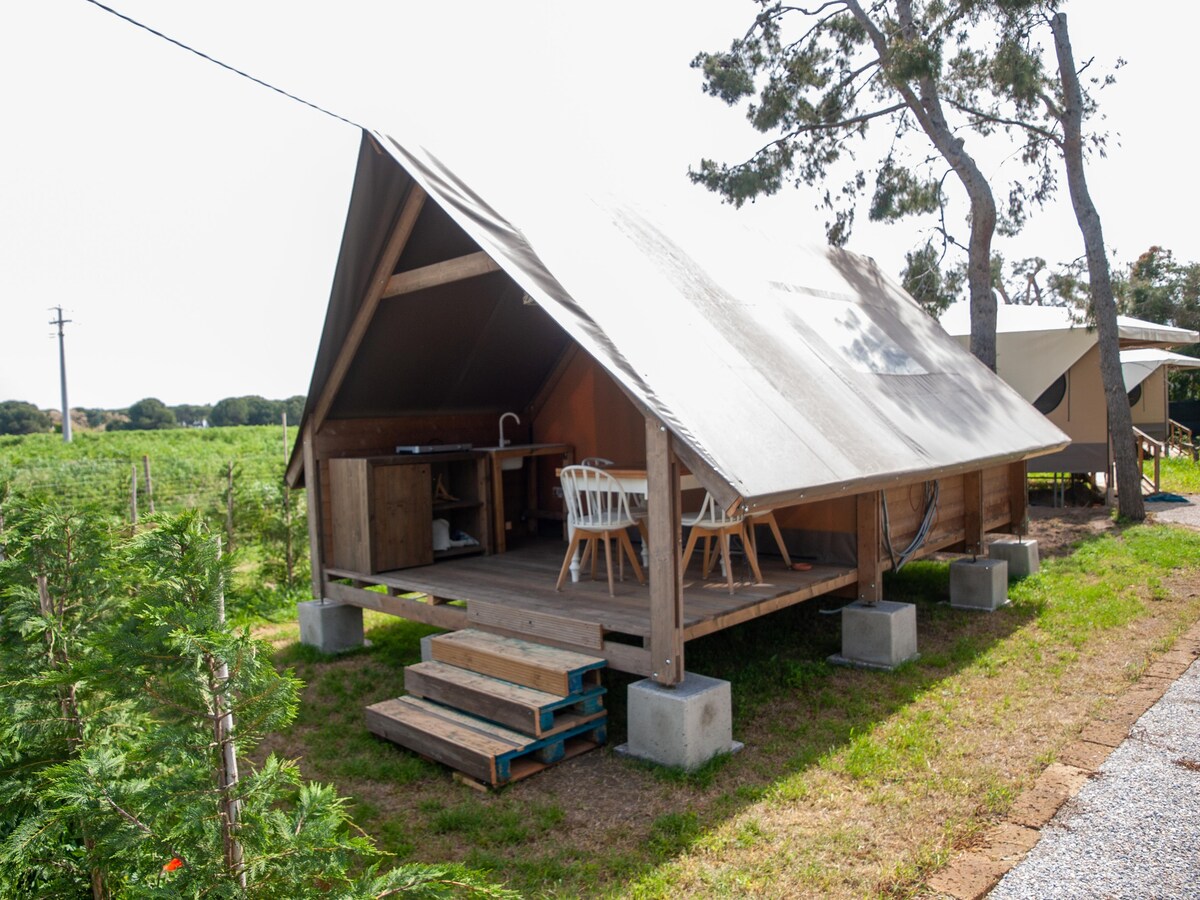 Tenda Safari vicino al mare