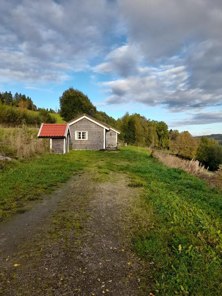 Ferienhütte am Trondheimfjord