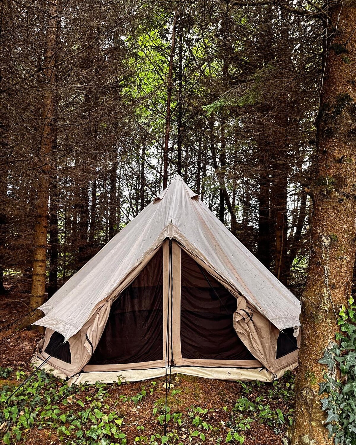 Bell Tent @ The Woodland Retreat