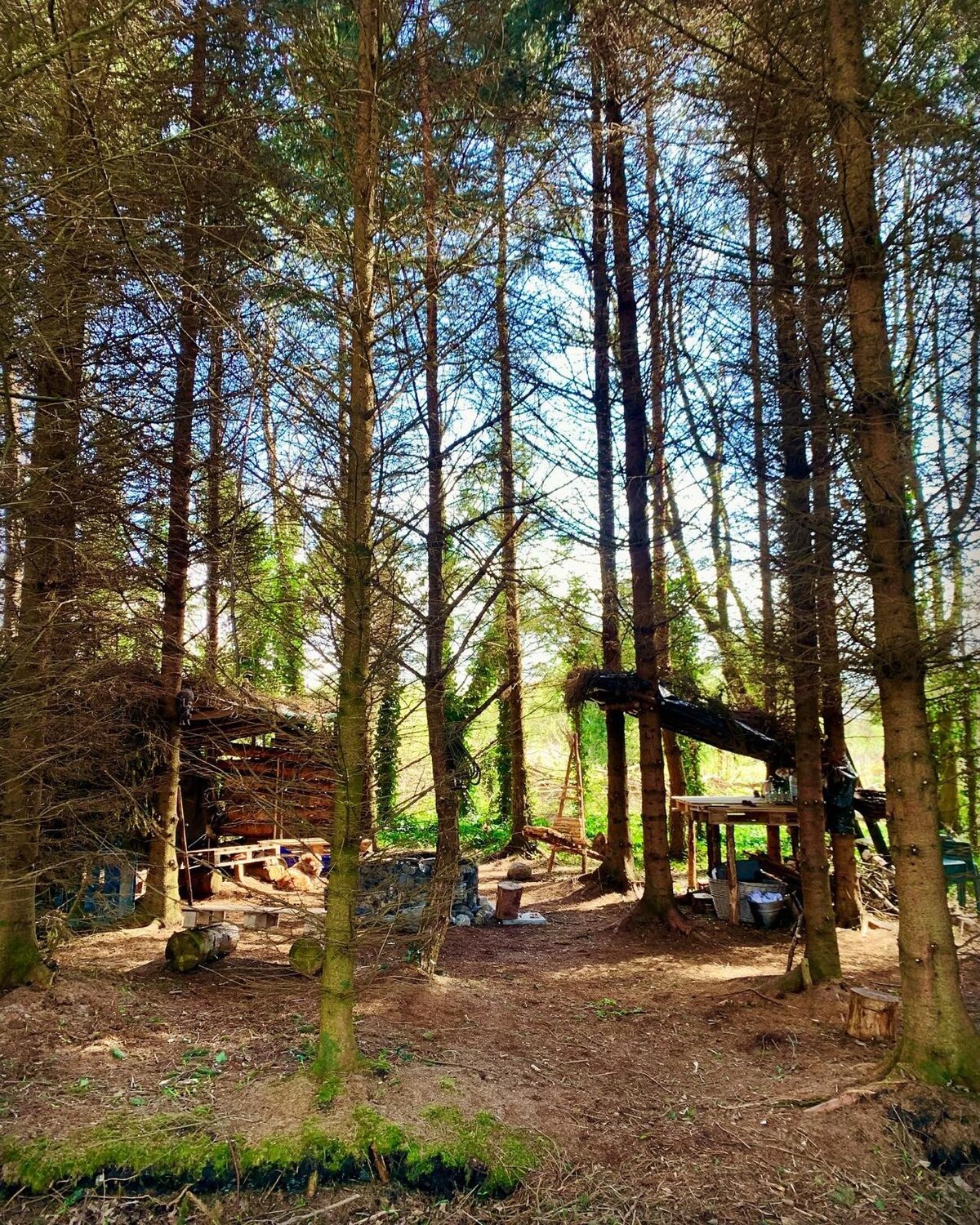 Bell Tent @ The Woodland Retreat