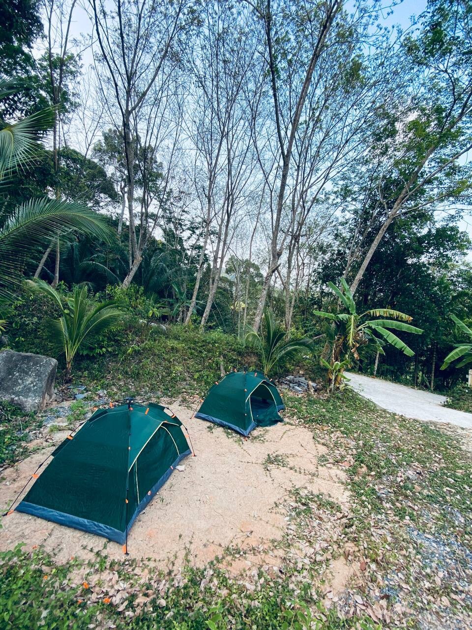 国家公园中的帐篷