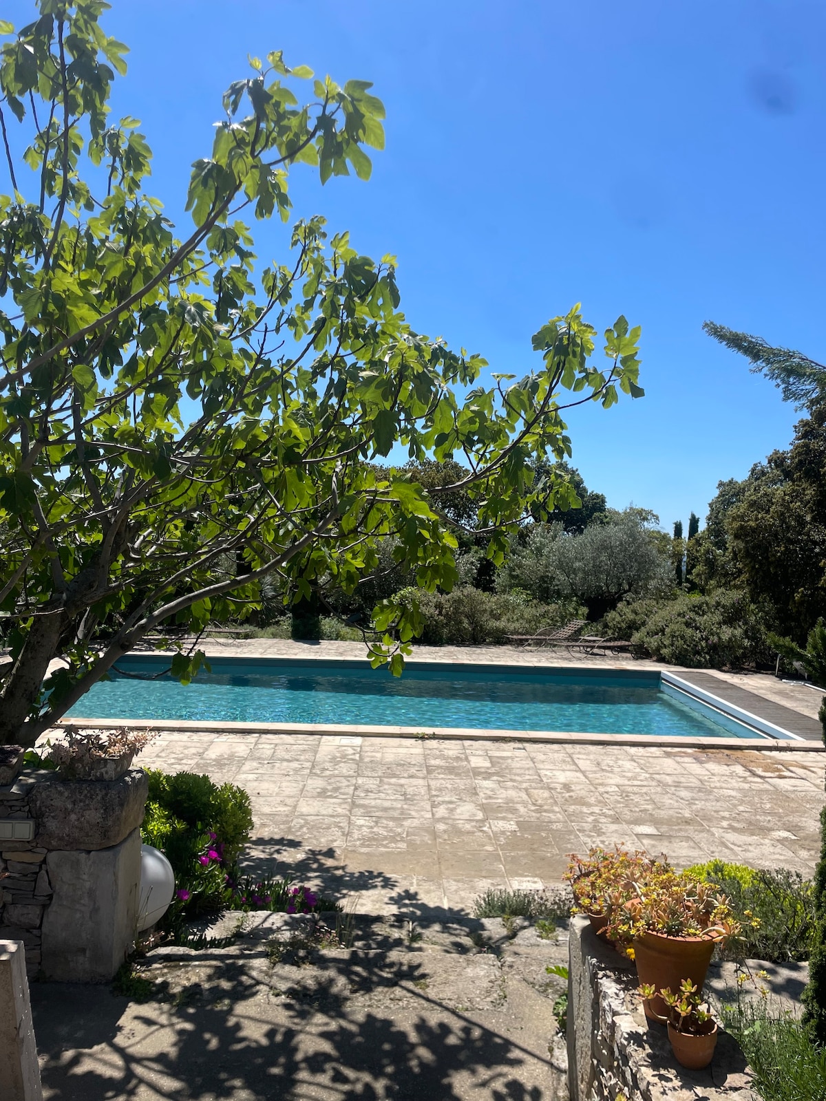 Villa en Garrigue avec piscine