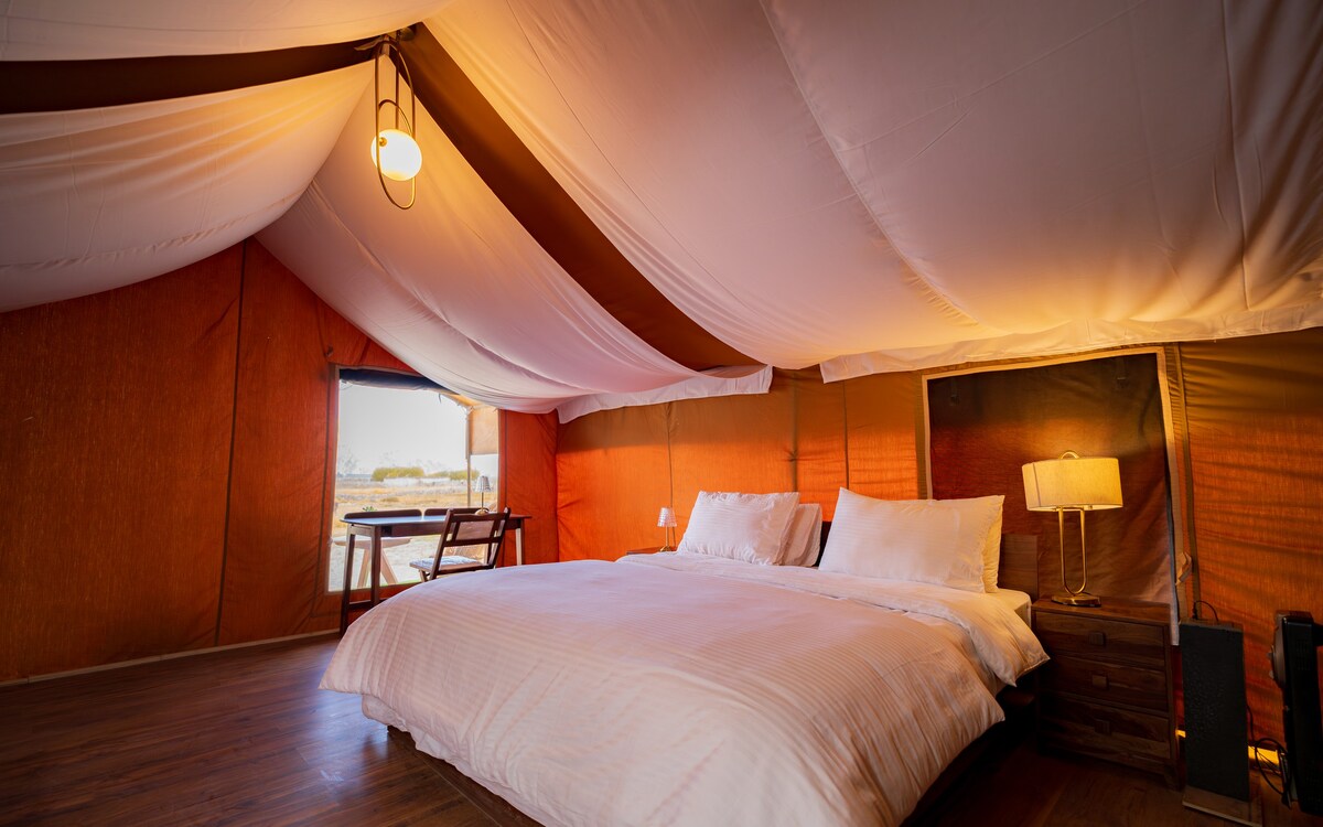 Luxury tent stay in pangong Lake