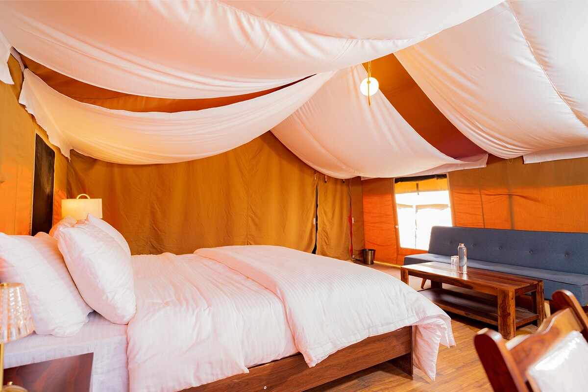 Luxury tent stay in pangong Lake