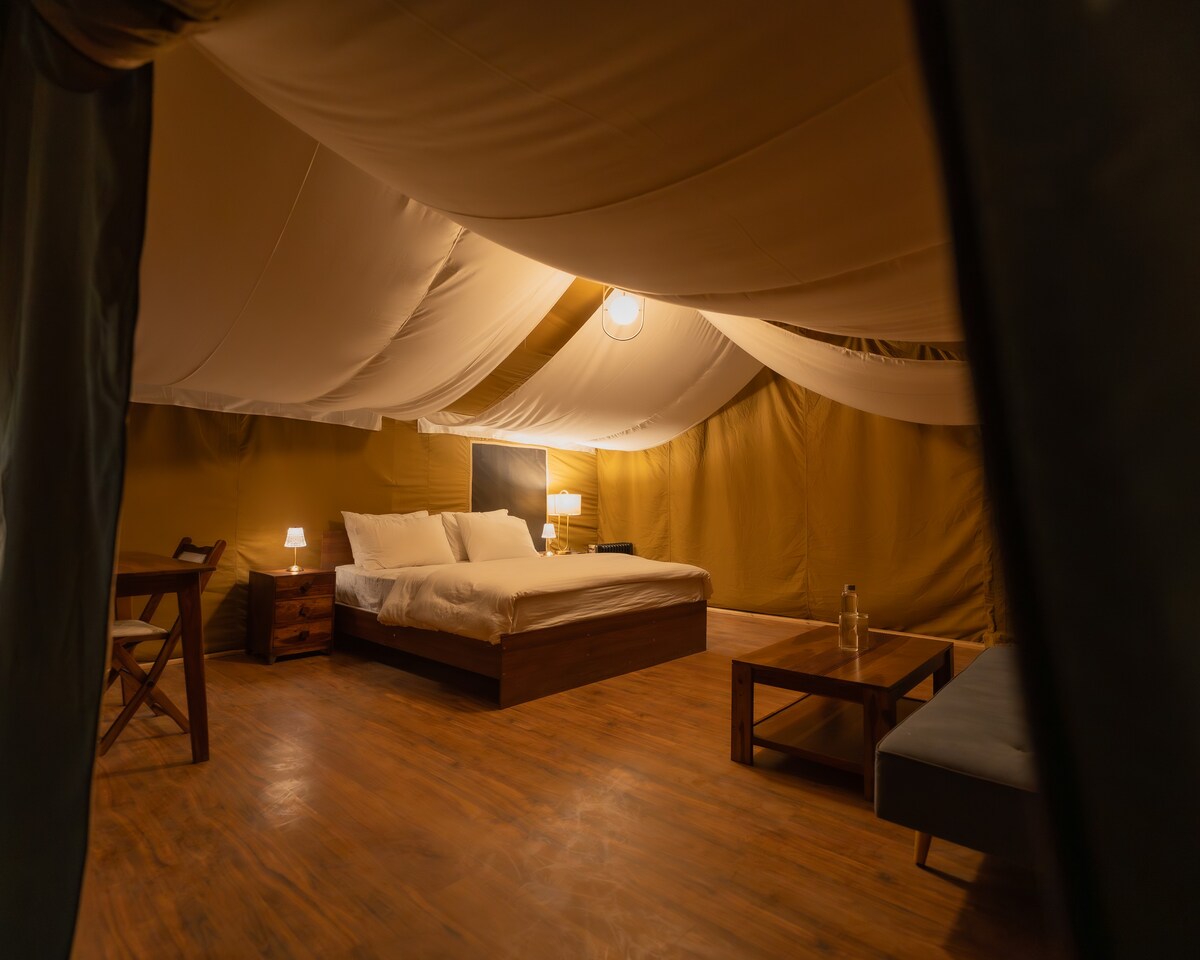 Luxury tent stay in pangong Lake