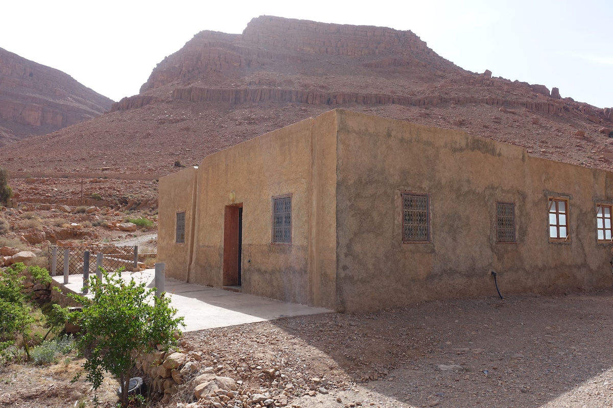 Tamazight Oasis