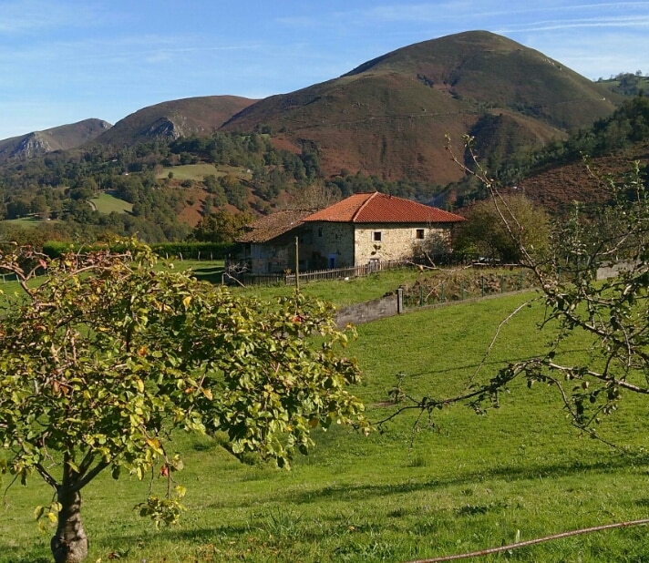 La Casita de Lozana