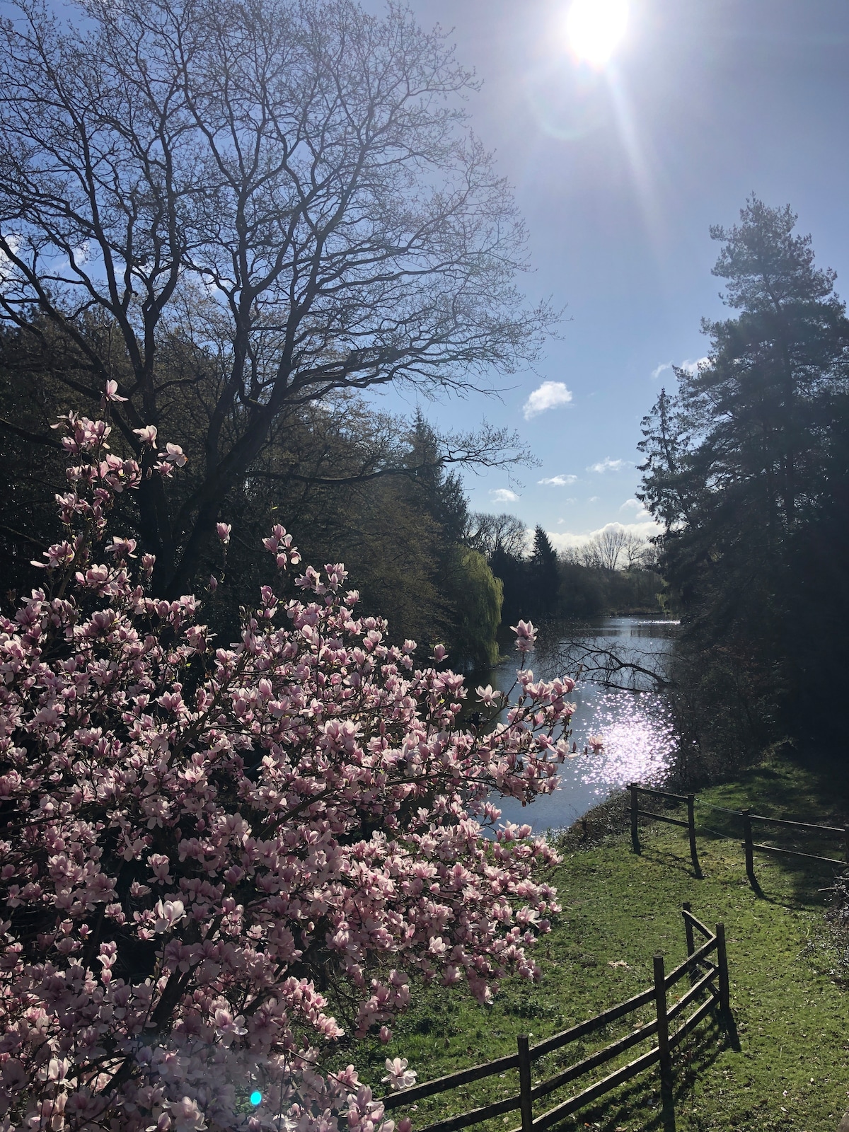 Féerie nature en Brocéliande