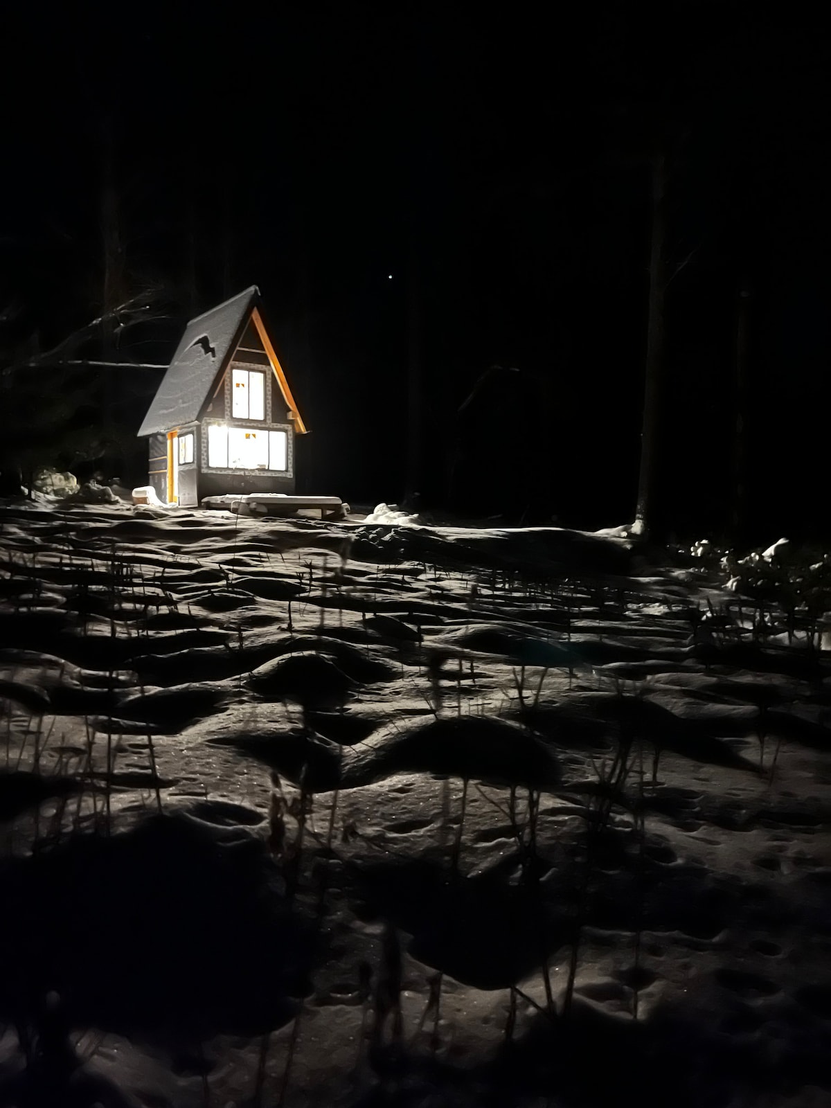 Tiny Timber Vermont