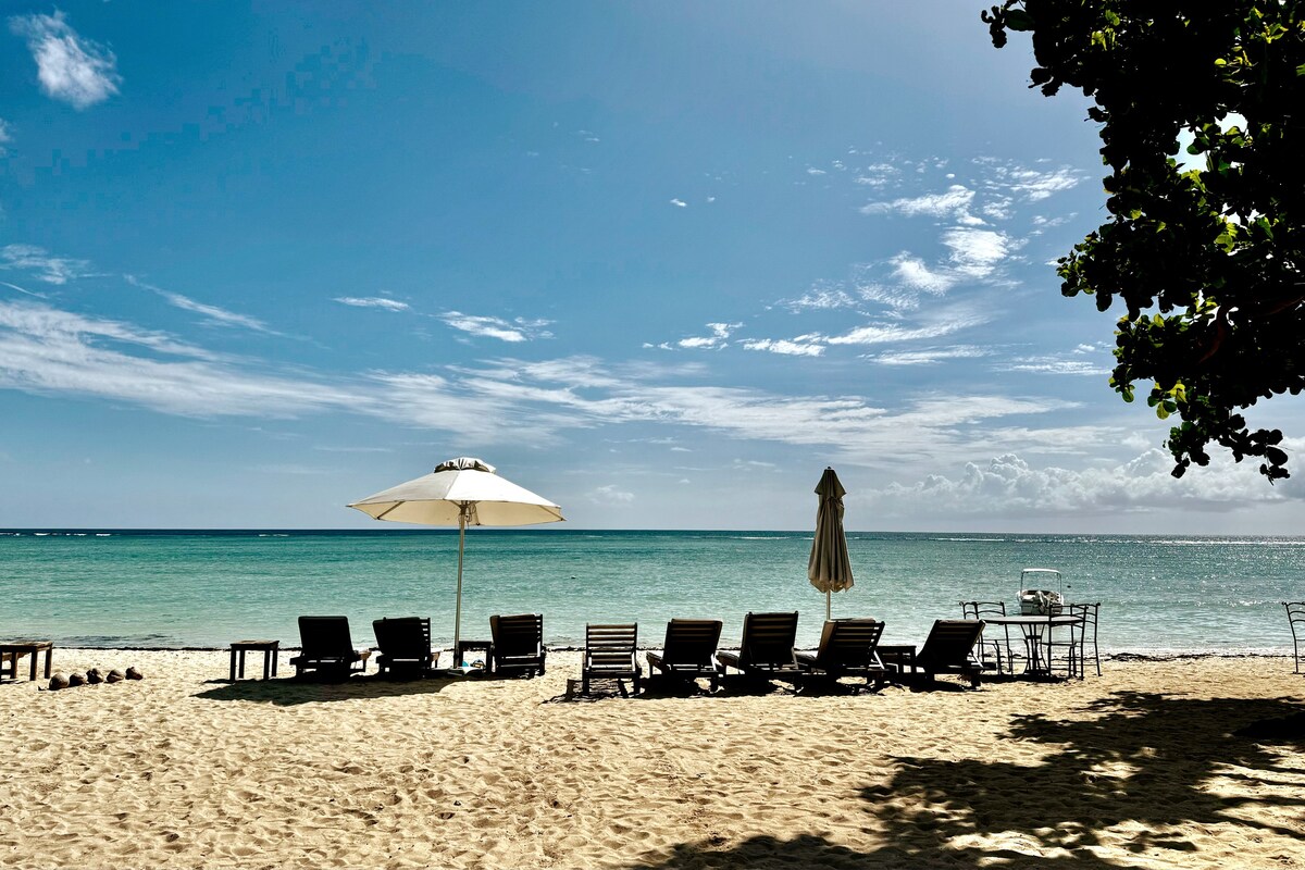 Luxury Beachfront Apt - Perfect for Beach Lovers