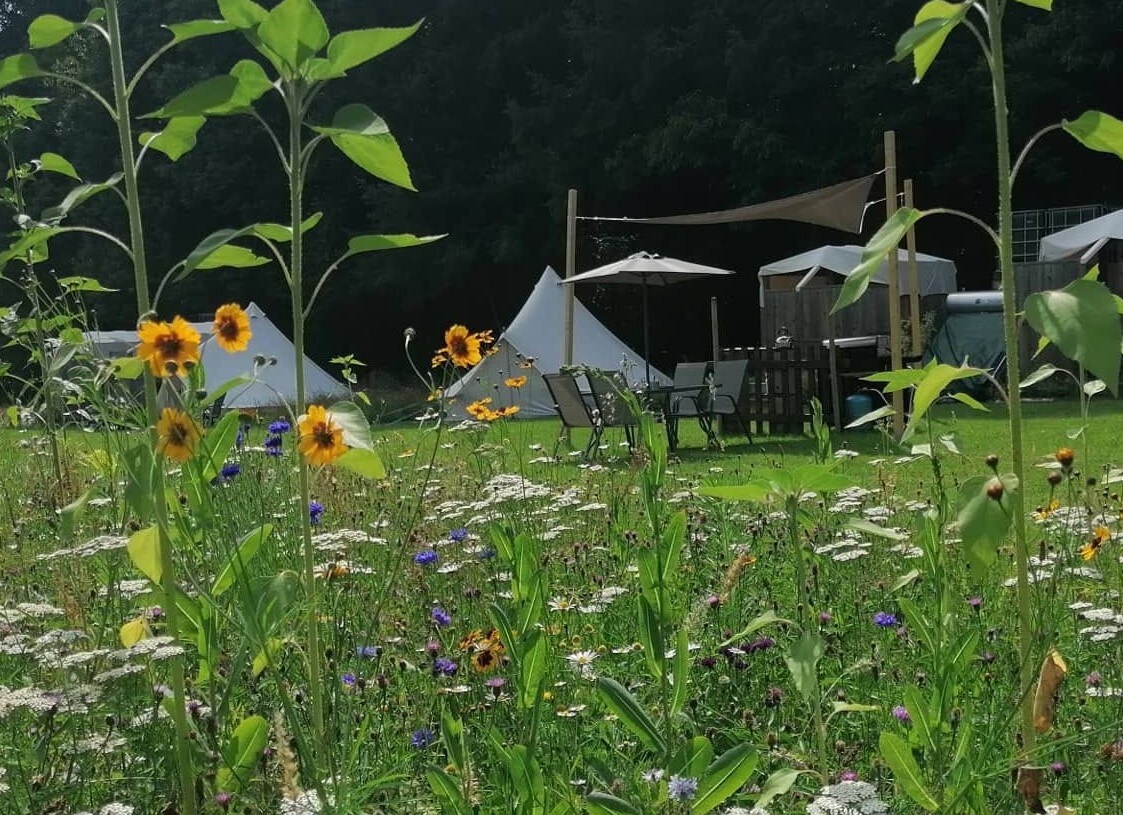 Le Tournesol Family Eco-Bell Tent