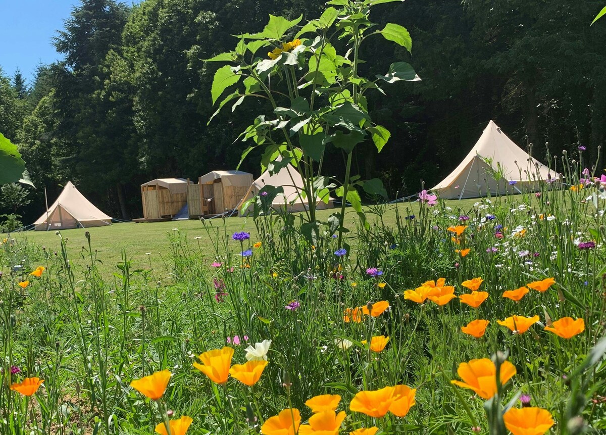 Le Tournesol Family Eco-Bell Tent