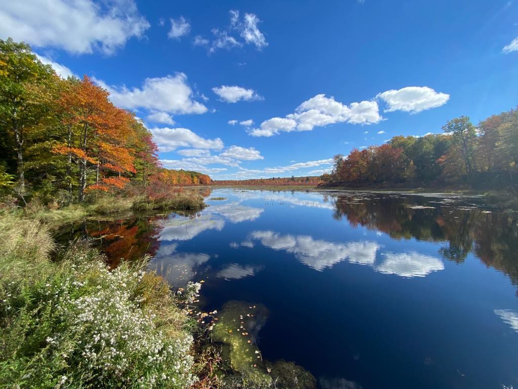 Poconos Getaway - Namaste Nectar Yoga Den