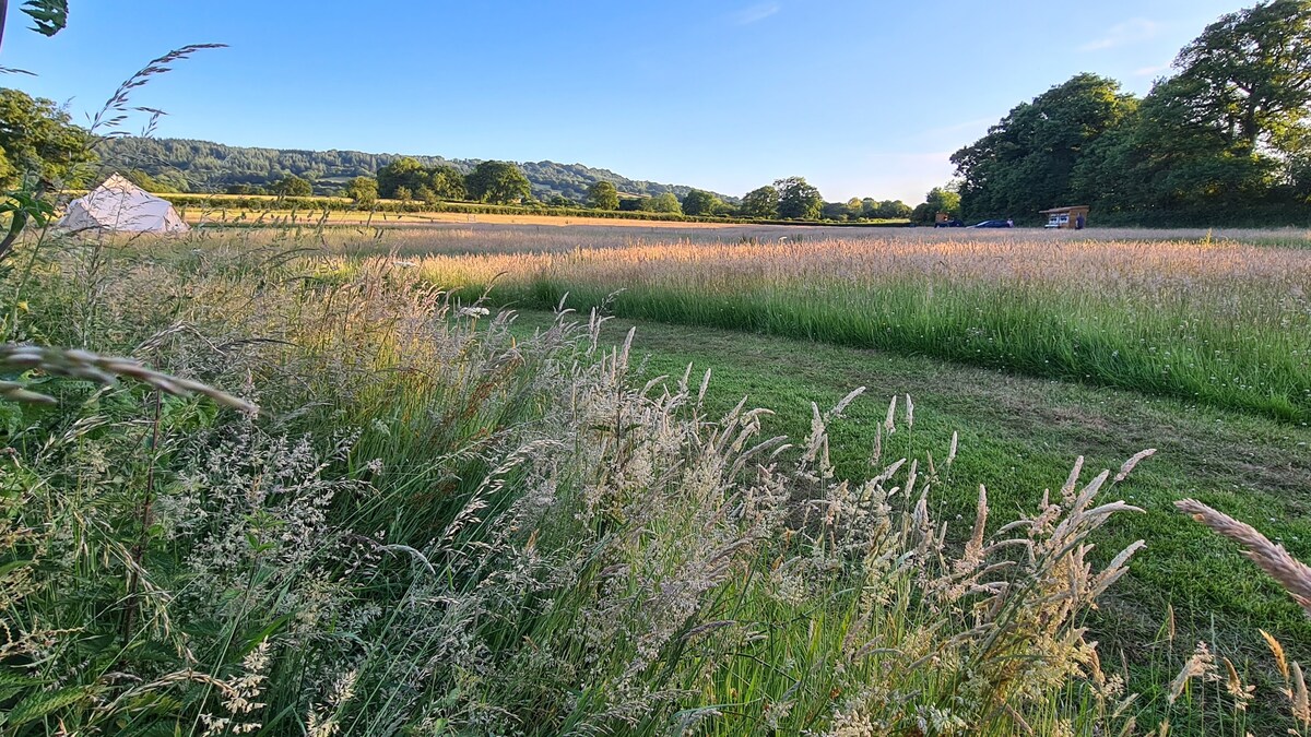 Buckland Belle - Bell Tent