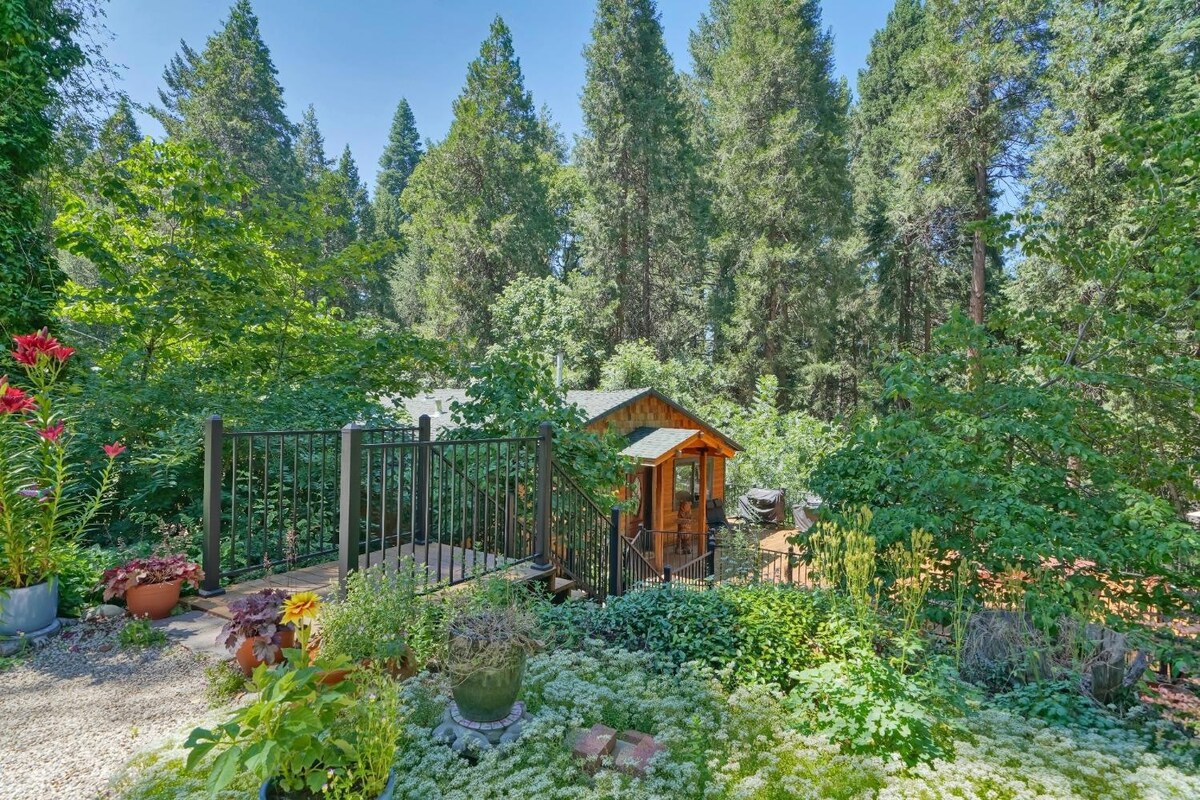 Pine View Paradise in scenic and charming Camino