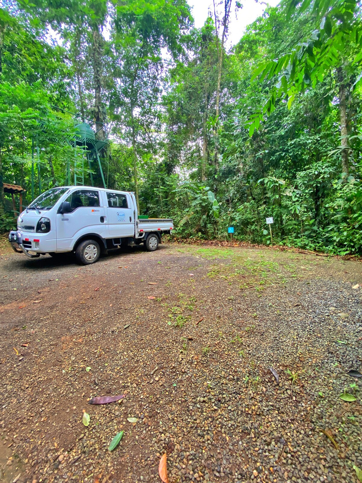Jungle Cabin: Tropical Retreat!