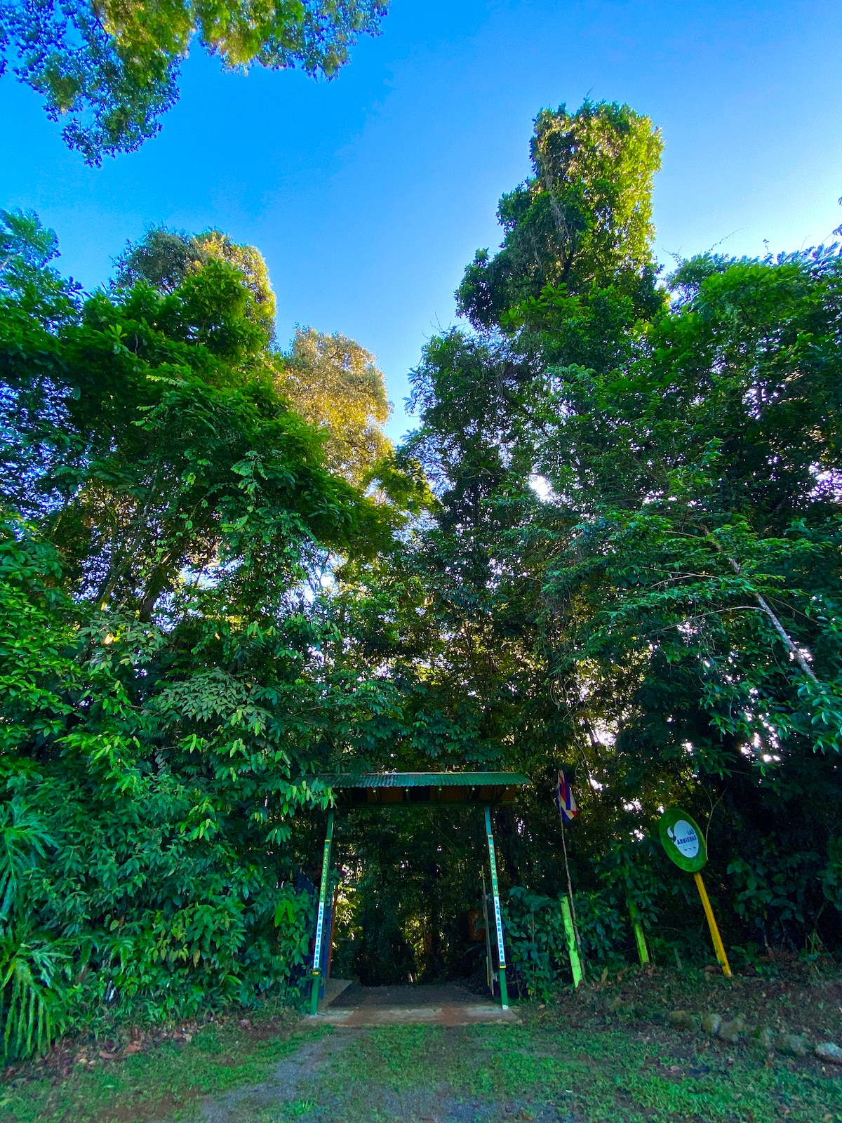 Jungle Cabin: Tropical Retreat!