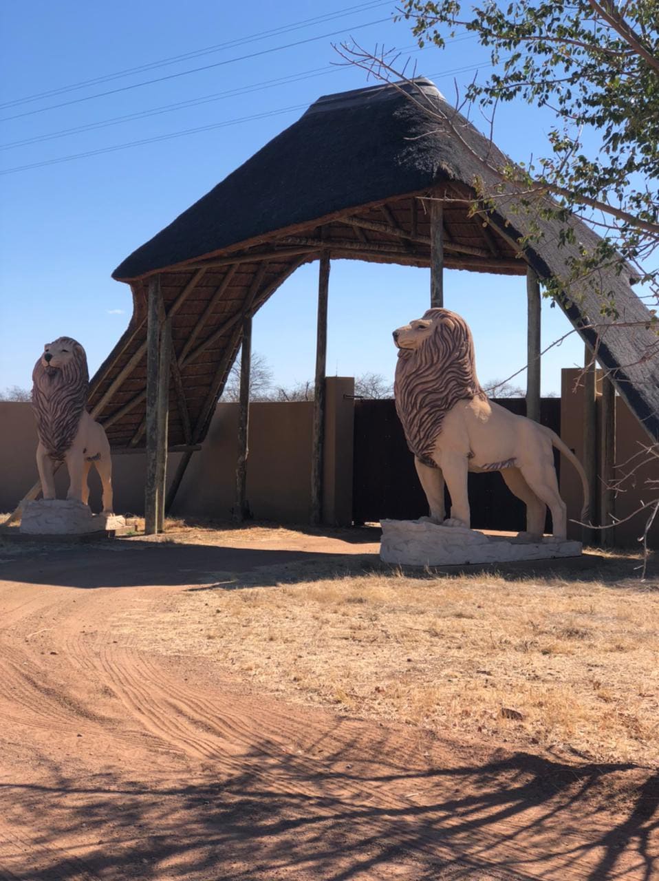 Lodge with roaring lions.