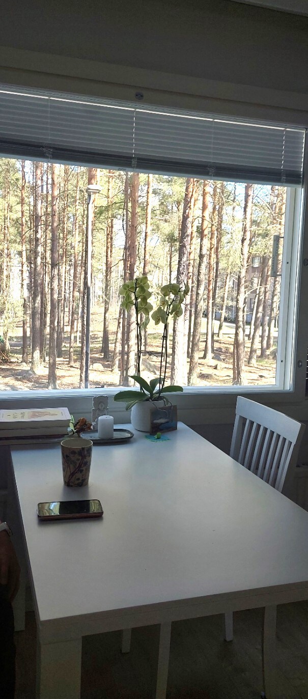 A separate room with forest view - near big malls