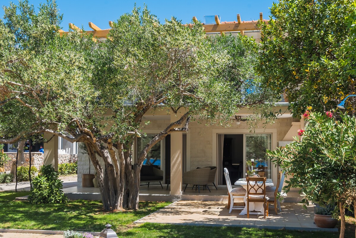 Holiday home Olive Tree