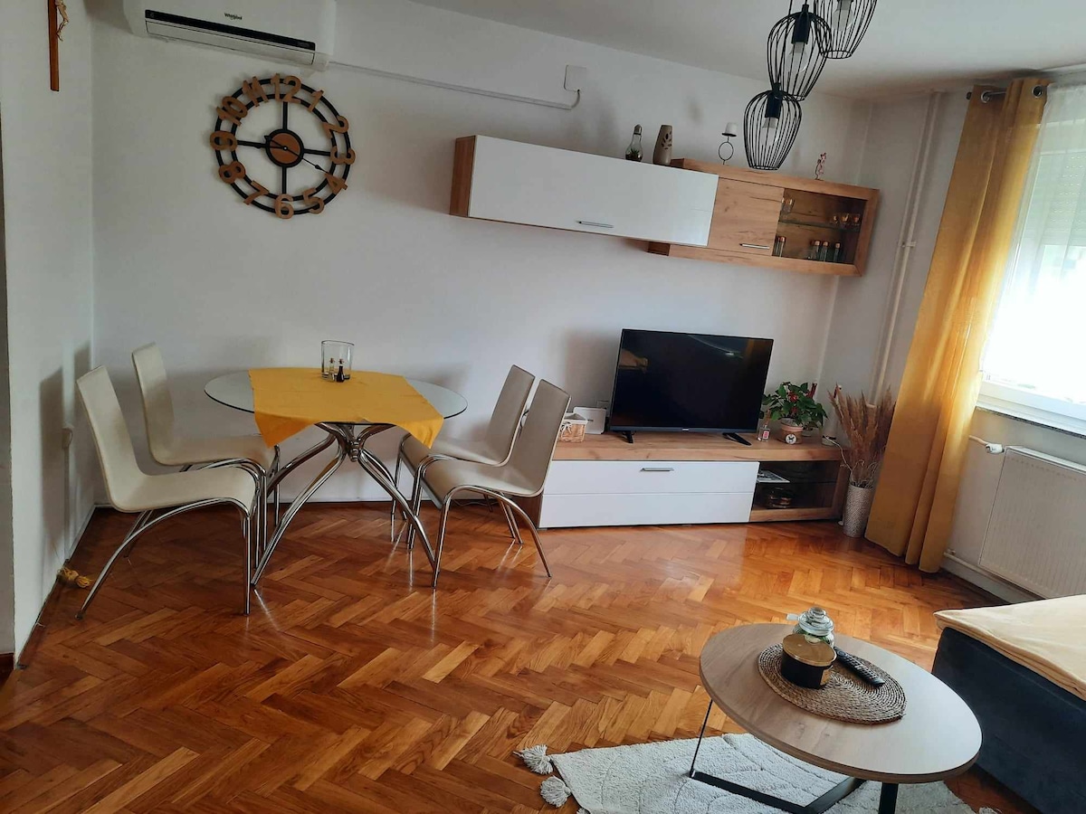 Apartman Pejić