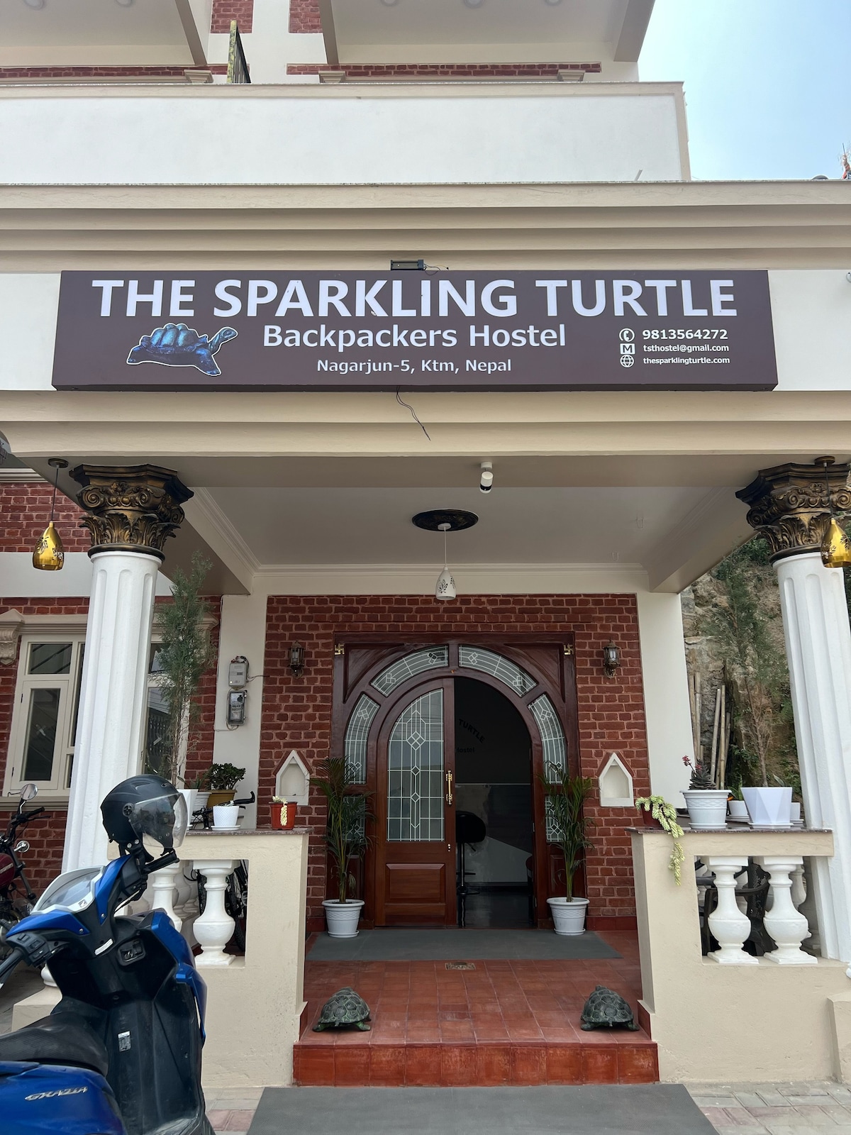The Sparkling Turtle.