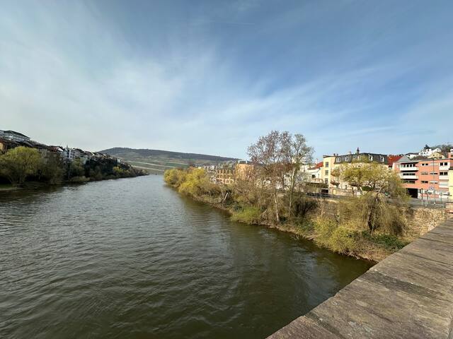 Bingen am Rhein的民宿
