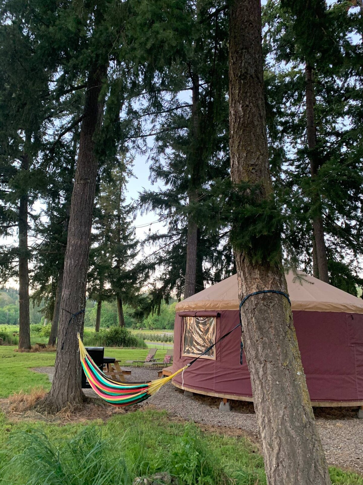 20' Yurt Getaway